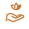 ladies-spa-salon.png